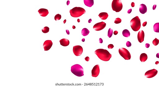 Red Rose Falling Vector Transparent Background. Flying Peach Banner. Delicate Flower Beauty Backdrop. 
