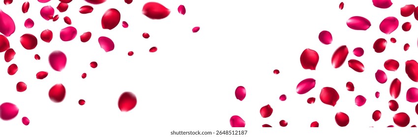 Red Rose Falling Vector Transparent Background. Flying Peach Banner. Delicate Flower Beauty Backdrop. Pink Rose Fall Cover.