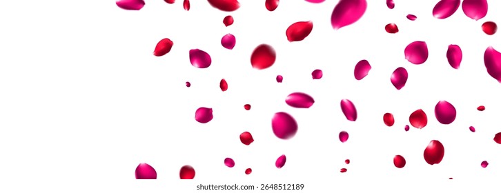 Red Rose Falling Vector Transparent Background. Flying Peach Banner. Delicate Flower Beauty Backdrop. 