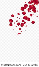 Red Rose Falling Vector Transparent Background. Fly Blossom Frame. Beautiful Floral Beauty Illustration. Delicate Peach Blur Poster.