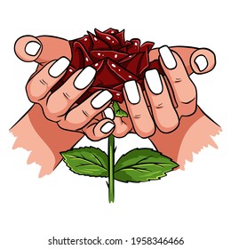 Red rose in female hands. Romantic. Vector illustration. Isolated drawing on a white background.