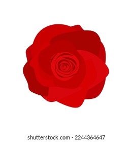 Red rose flat illustration. Rose flower top view isolated on white background. Red rose floral vector illustration