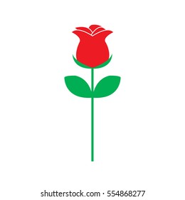 red rose flower