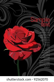 red rose in the flower background