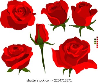 conjunto vectorial de agrupamiento de flores de rosa roja