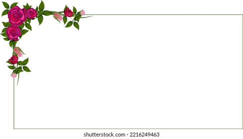 Red rose flower frame isolated. Vector illustration