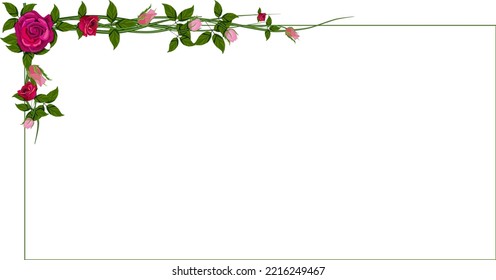 Rose Blumenrahmen einzeln. Vektorgrafik