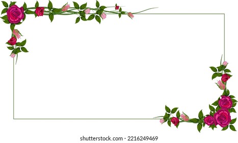 Red rose flower frame isolated. Vector illustration