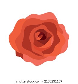 red rose flower garden decoration nature