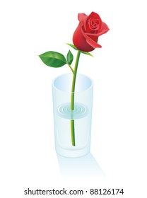 A red rose flower in a glass