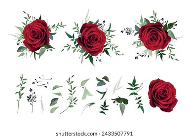 Red rose flower, greenery eucalyptus, vine green leaves, berry branches vector watercolor illustration. Big editable designer elements set with floral bouquets. Greeting, wedding invite, print pattern