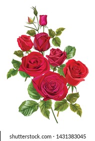 Red rose flower for greeting cards and invitations of the wedding, birthday, Valentine's Day and other design-vector