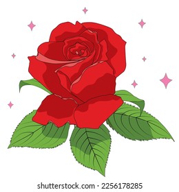 Red rose flower for happy Valentines day postcards. Vector colored elements illustration for tattoo, greeting card, wedding invitation.