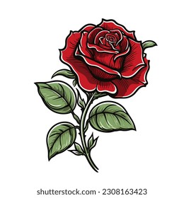 Red Rose Flower Illustration Vector 