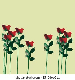red rose flower isolated background illustrator