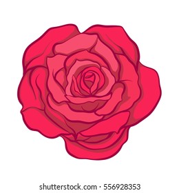 Red rose flower isolated hand drawn. Stock line vector illustration.

