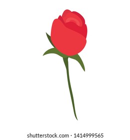 Red rose flower isolated on white background. Flower icon. Plants. Vector illustration. EPS 10.