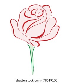 Red rose flower isolated on white background