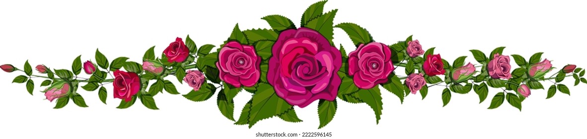Red rose flower isolated. Vector illustration