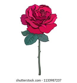 Red rose flower with leaves and stem. Hand drawn sketch style vector illustration. Decorative element for tattoo, greeting card, anniversary, wedding.
