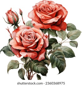 Red rose flower, leaves, watercolor illustration.