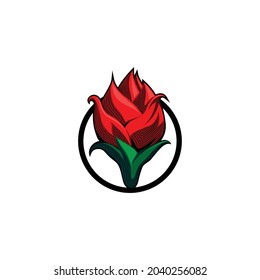 Red rose flower logo design inspiration that hasn't bloomed yet