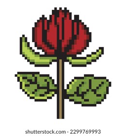 Rose-Blütenkunst