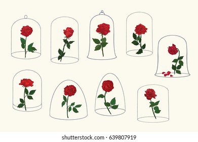 Red Rose Flower Under A Glass Dome Vector Illustrations Set