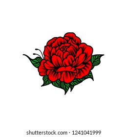 red rose flower vector