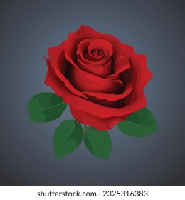 red Rose flower, vector design