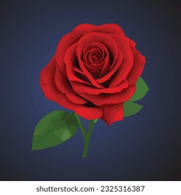 red Rose flower, vector design