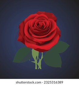 red Rose flower, vector design