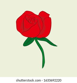 Red Rose Flower Vector Illustration Isolated Background