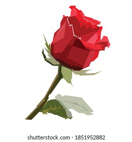 Red rose flower vector illustration