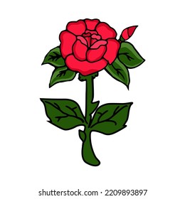 Red rose flower vector illustration isolated on white background