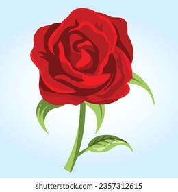 Red rose flower vector illustration