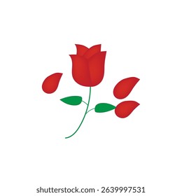 Red rose flower vector illustration of a flower that symbolizes love, romance and its smell is very fragrant