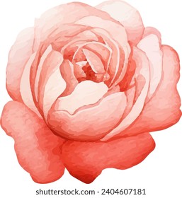 Red Rose Flower Watercolor Floral Clipart