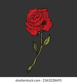 A Red Rose Flower in a Woodcut Etching or Engraving Line Art Style. Vector Engraving Looking Colored Illustration of Red Rose on Black Background