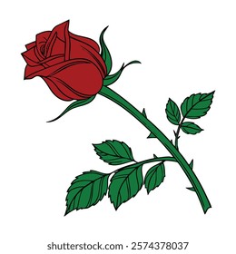 Red rose flowers, buds, leaves and stems isolated on white background. Hand drawn realistic open and unblown rosebuds. Vector illustration.