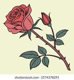 Red rose flowers, buds, leaves and stems isolated on cream color background. Hand drawn realistic open and unblown rosebuds. Vector illustration.