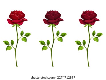 Flores rojas con tallos aislados en un fondo blanco. Conjunto de ilustraciones vectoriales