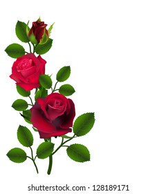 Red rose. Flowers in the vector, as natural