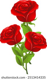 Rote Rose Blumen Vektor, Rosen Illustration für Grußdesigns, Rosen Vektor