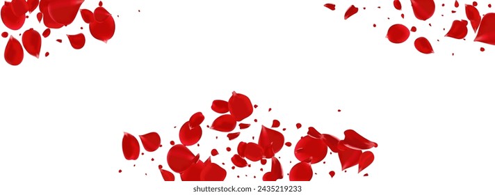 Vector volador de rosa roja fondo blanco panorámico. Plantilla de flor de mosca. Banner de primavera de pétalo rosa. Delicada ilustración de verano de loto.