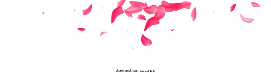 Red Rose Flying Vector White Panoramic Background. Tender Lotus Wallpaper. Beautiful Floral Beauty Texture. Delicate Sakura Fly Cover.