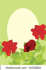 red rose frame