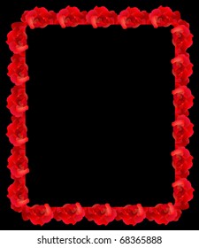 Red rose frame