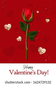 Red Rose. Gift for Valentine's Day. Valentine. Greeting card, poster, banner. Red background. Vector illustration. Declaration of love.