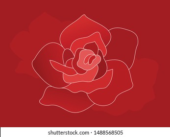 red rose for gift your girlfriend in the special moment